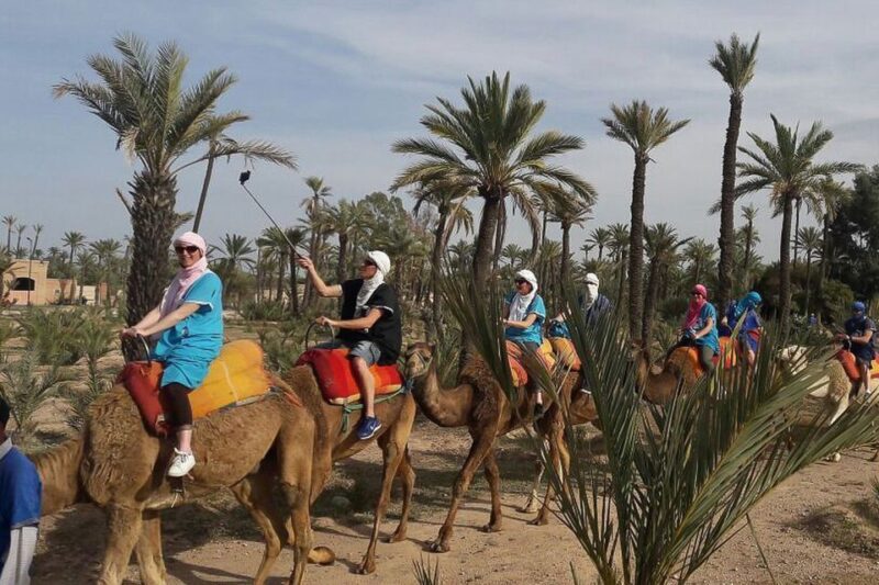 Marrakech: Camel Trek - Final Thoughts