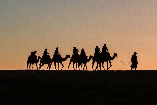 Marrakech: Camels & Quads on Sunset and Luxury Dinner with Show - Key Points