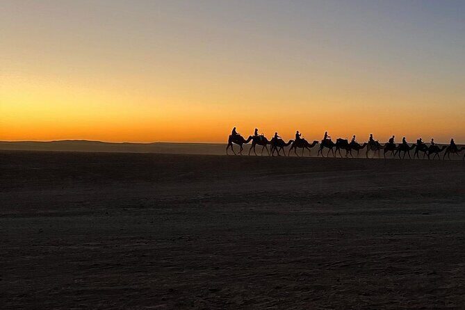 Marrakech: Camels & Quads on Sunset and Luxury Dinner with Show - Practical Tips for Travelers