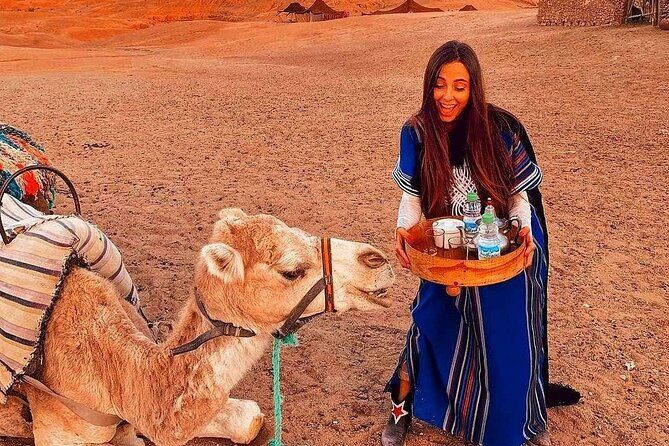 Marrakech: Camels & Quads on Sunset with Luxury Dinner, Fireshow - Dining under the stars: authentic Moroccan cuisine