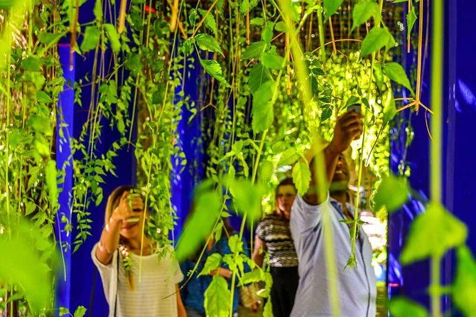 Marrakech City Tour: Half-Day Guided Tour - Transportation and Group Dynamics