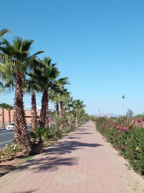 Marrakech: City Walking Tour (Traditional, Bazaar, Old Town) - Key Points