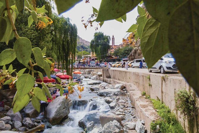 Marrakech Day Tour to Atlas Mountains and Ourika Valley - A Complete Breakdown of the Experience