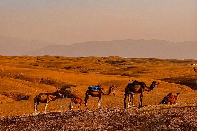 Marrakech Day Trip: Agafay Desert, Atlas Mountains and Camel Ride - Cultural Immersion: Berber Tea and Village Life