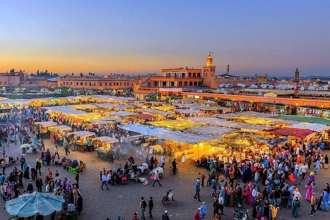 Marrakech Day trip from Agadir - Who Should Consider This Tour?