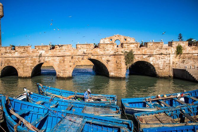 Marrakech Day Trip to Essaouira - Reviews and Authentic Insights