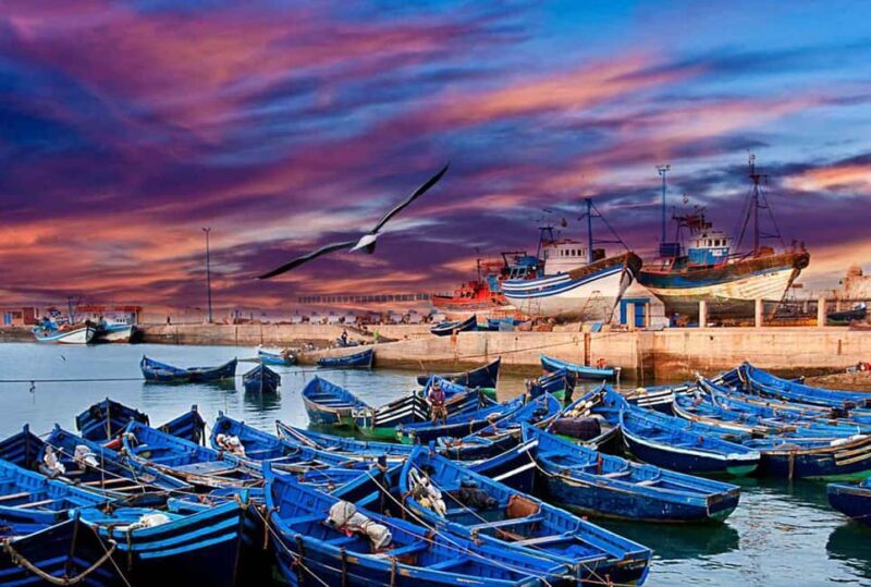 Marrakech: Day Trip to Essaouira - An In-Depth Look at the Marrakech to Essaouira Day Trip