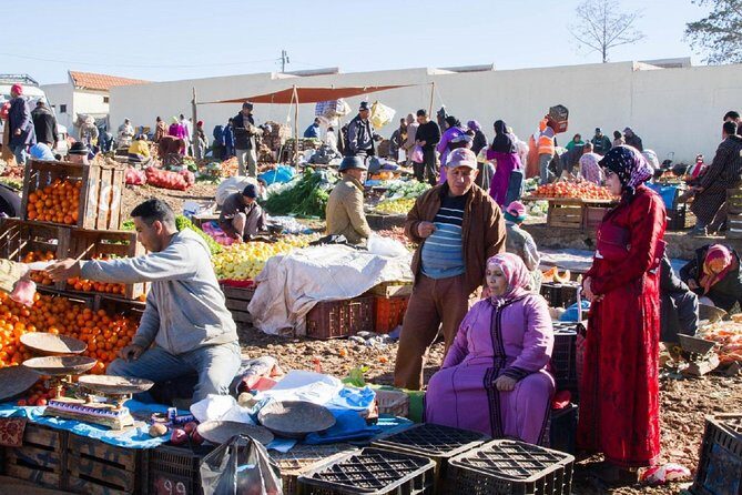 Marrakech Day Trip to Ourika Valley Atlas Mountains - Final Thoughts