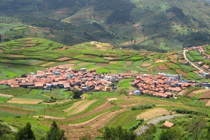 Marrakech Day Trip to Ourika Valley Atlas Mountains - FAQ
