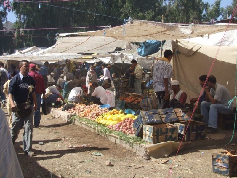 Marrakech Day Trip to Ourika valley & Waterfalls - An Introduction to the Tour