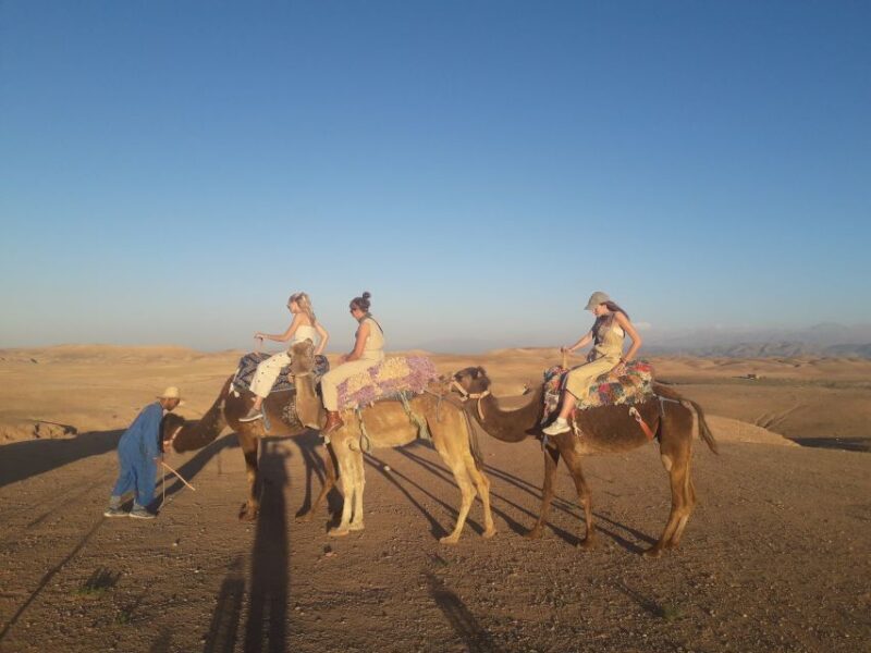 Marrakech Day Trip to Ourika valley & Waterfalls - What You Can Expect from the Tour