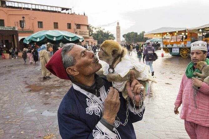 Marrakech Day Trip with Camel Ride - Authentic Experiences and Practical Insights