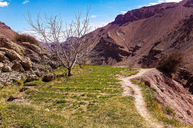 Marrakech & Desert 3-Days - Starting Point: Marrakech and the High Atlas Mountains