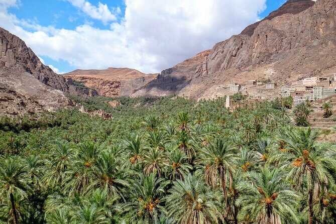 Marrakech & Desert 3-Days - Day Three: Sunrise, Quads, and Return to Marrakech