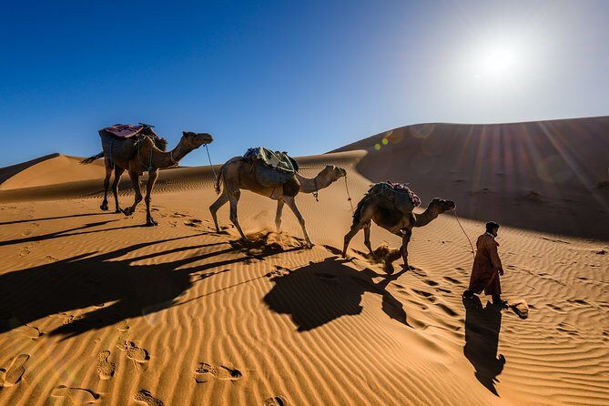 Marrakech & Desert 3-Days - Authentic Experiences and Guest Ratings