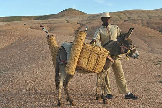 Marrakech: Desert Agafay & Atlas Mountains Day Trip & Camel Ride - Exploring the Atlas Mountains and Agafay Desert