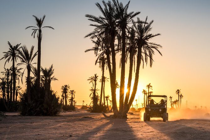Marrakech Desert Buggy Tour Including Berber Tea Break and transfer - Key Points