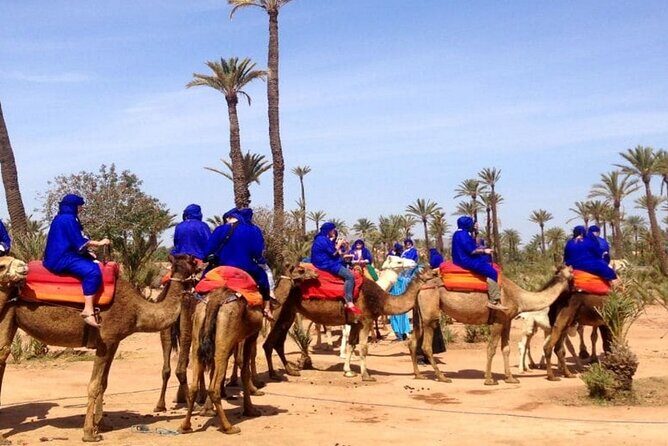 Marrakech Desert Camel Ride - What You Can Expect from This Tour