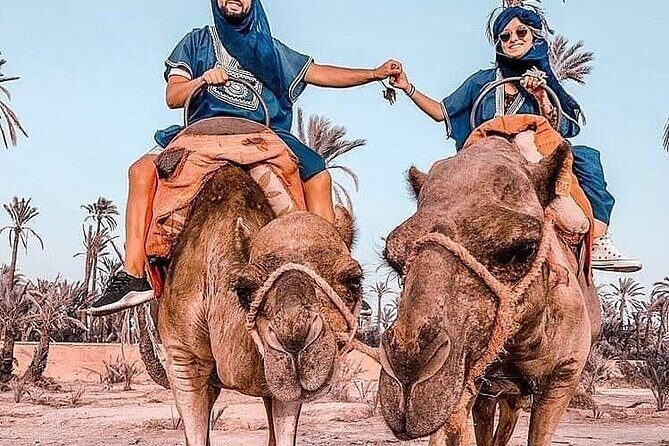 Marrakech Desert Camel Ride - Who Will Love This Tour?