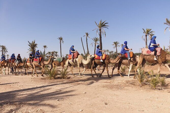 Marrakech Desert Camel Ride - Final Thoughts