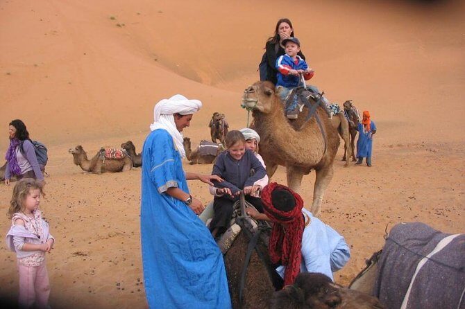 Marrakech Desert: Camel Ride, Quad Biking & Dinner Show Options - Key Points