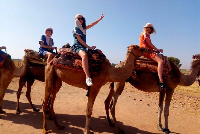 Marrakech Desert Dinner show with Quad bike and Camel Ride - The Value of This Tour