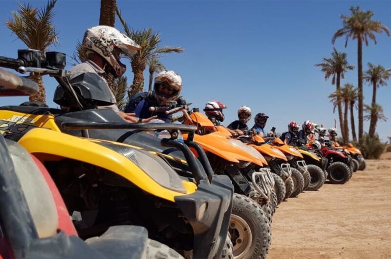 Marrakech Desert & Palm Grove Quad Bike Tour - An Adventure Outside Marrakech: What to Expect