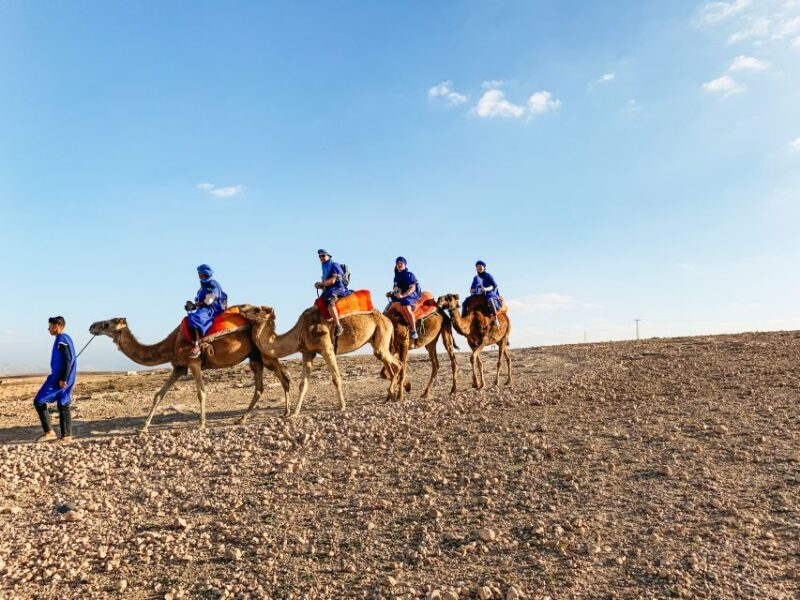 Marrakech: Desert Quad Bike Tour with Tea & Optional Dinner - Final Thoughts: Is This Tour for You?