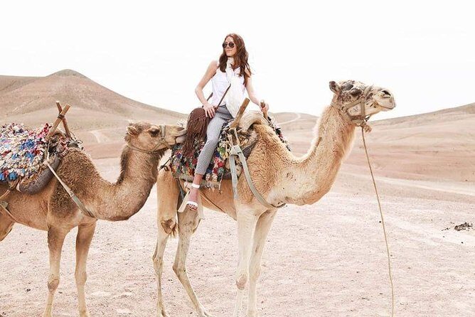 Marrakech Desert : Quad Biking, Camel Ride, Dinner Show - Who Is This Tour Best For?