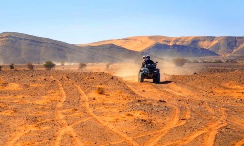 Marrakech: Dinner and Quad bike Desert Agafay Stars & show - A Closer Look at the Experience