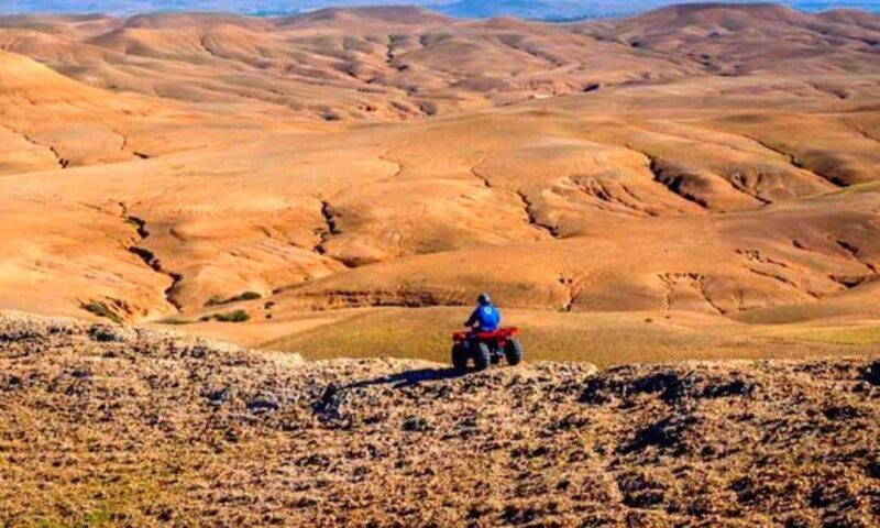 Marrakech: Dinner and Quad bike Desert Agafay Stars & show - Who Will Love This Tour?