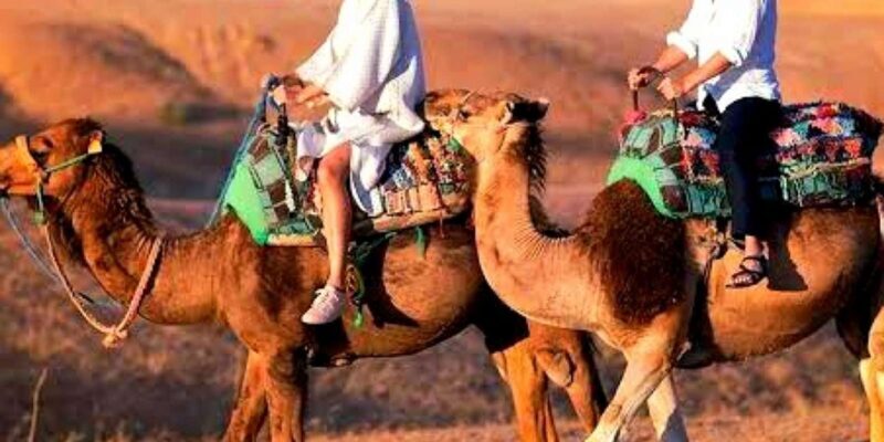 Marrakech: Dinner and Quad bike Desert Agafay Stars & show - FAQ