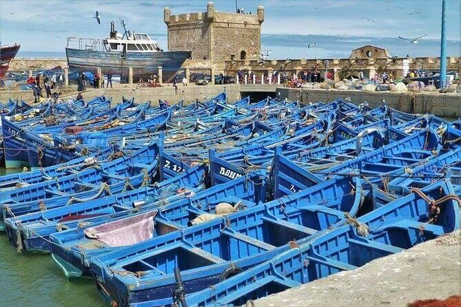 Marrakech - Essaouira Day trip - Why This Tour Offers Great Value