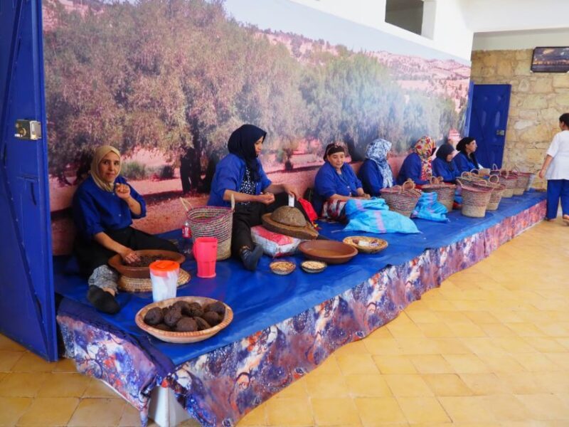 Marrakech: Essaouira Day Trip with Transfers and Co-op Visit - Key Points