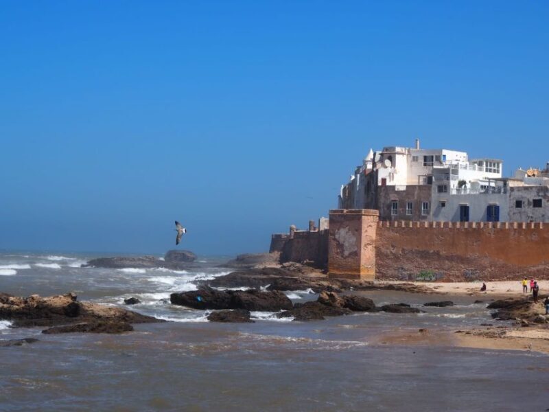 Marrakech: Essaouira Day Trip with Transfers and Co-op Visit - A Detailed Look at the Tour Experience