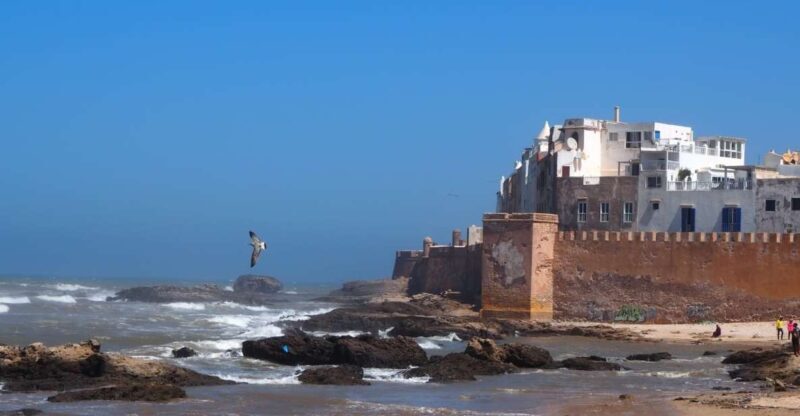Marrakech: Essaouira Day Trip with Transfers and Co-op Visit - Authentic Experiences and Local Support