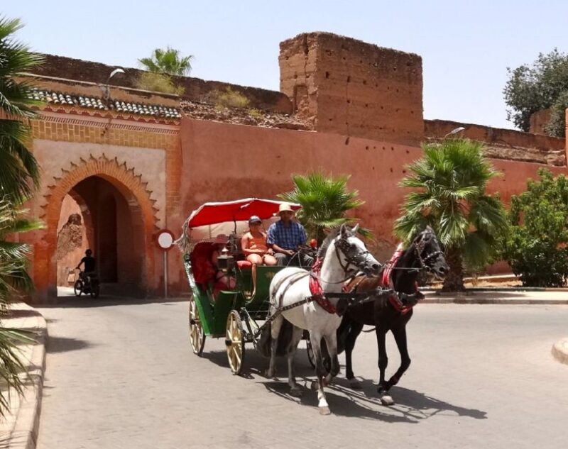 Marrakech Excursion Full Day Trip From Agadir - Who Would Love This Tour