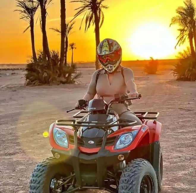 Marrakech, explore the palm grove desert by quad bike - Key Points
