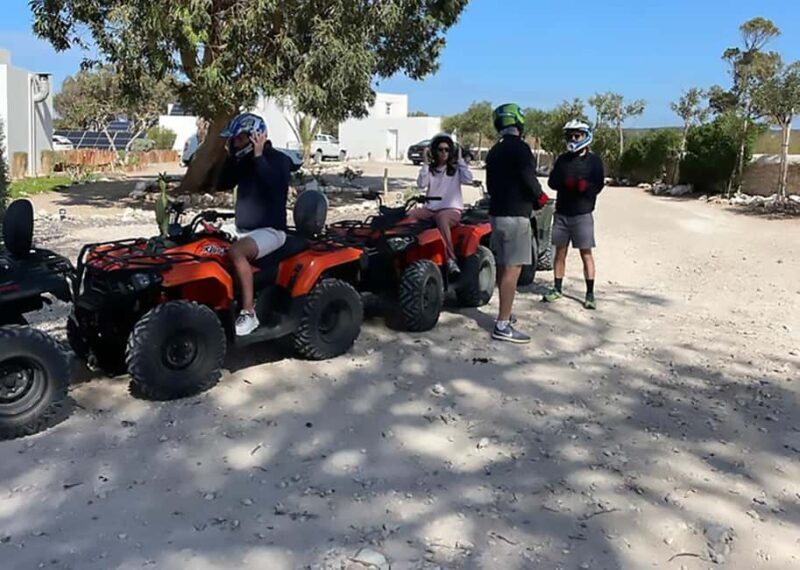 Marrakech, explore the palm grove desert by quad bike - What to Expect on Your Quad Bike Adventure