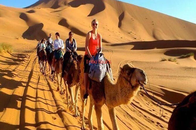 Marrakech Fes 3 days desert tour - Day 3: Merzouga to Fes via Midelt and Cedar Forests