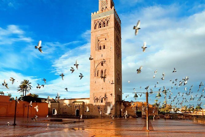 Marrakech Full Day Guided City Tour - Private Tour - The Itinerary: What You Can Expect