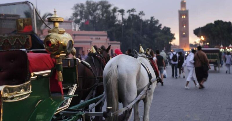 Marrakech Full-Day Guided Tour with Lunch - Navigating the Souks