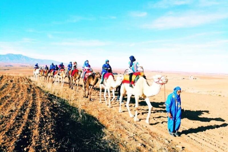 Marrakech : Full Lunch package in Agafay desert - What Makes This Tour Stand Out