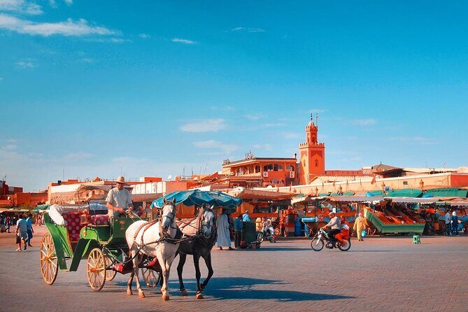 Marrakech Guided Day Trip with Pickup From Taghazout or Agadir - Frequently Asked Questions