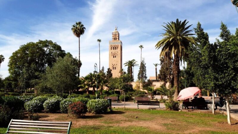 Marrakech: Guided Medina History & Culture Tour - An In-Depth Look at the Marrakech Guided Medina Tour
