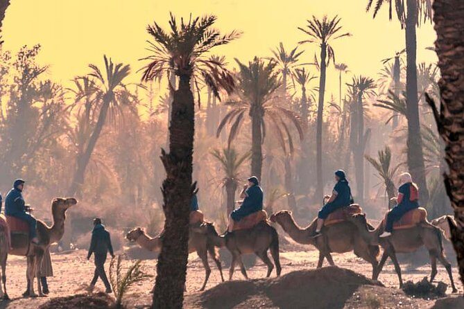 Marrakech Guided Tour From Casablanca With Camel Ride - The Practicalities