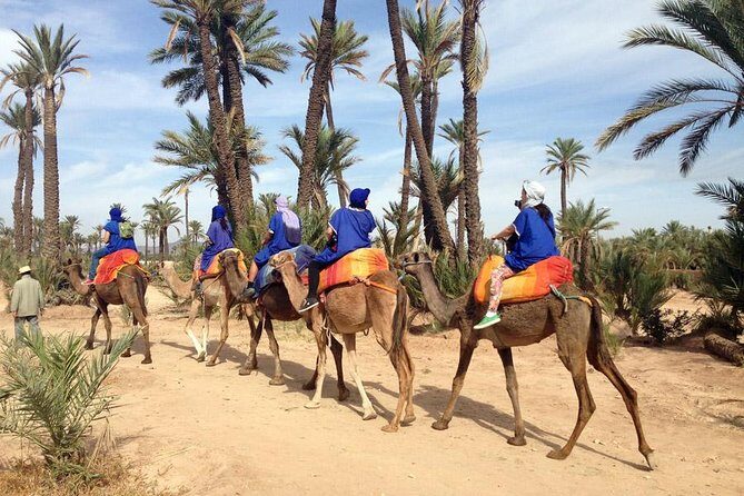 Marrakech Half-Day Camel Ride in Palm Grove - The Value of the Experience