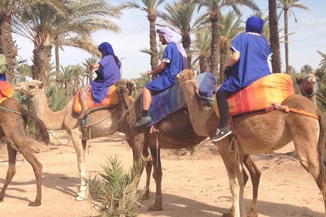 Marrakech Half-Day Camel Ride in Palm Grove - The Experience in Practice: The Good and The Not-So-Good
