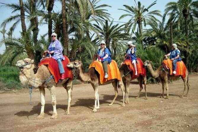 Marrakech Half-Day Camel Ride in Palm Grove - FAQ