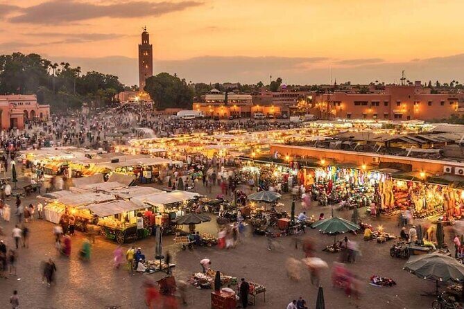 Marrakech half day city tour - Who Will Love This Tour?